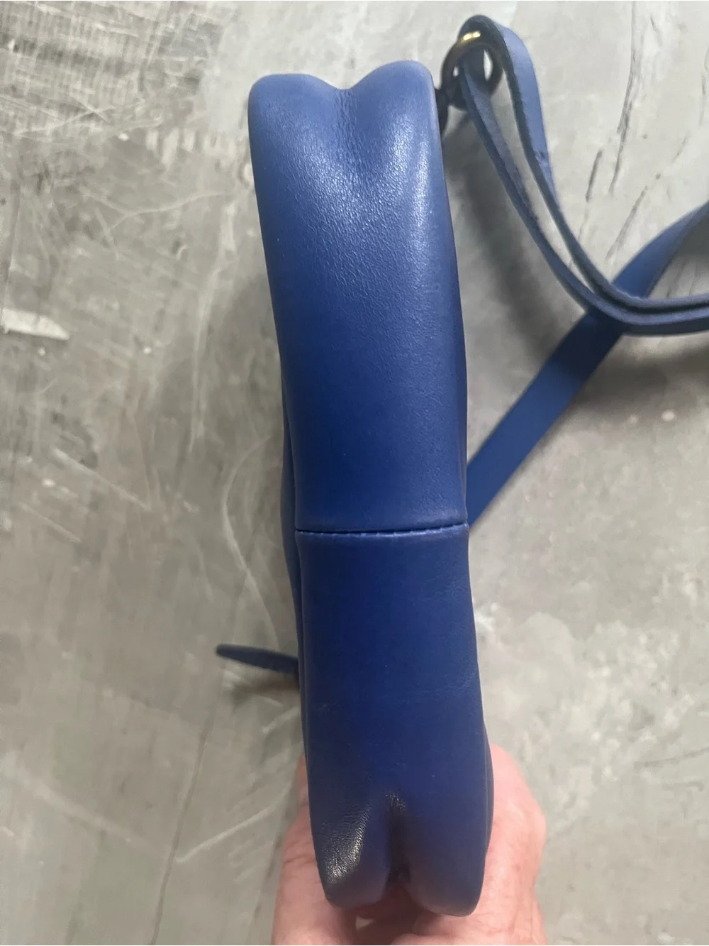 Madewell Cobalt Blue Leather carabiner, mini Crossbody Bag